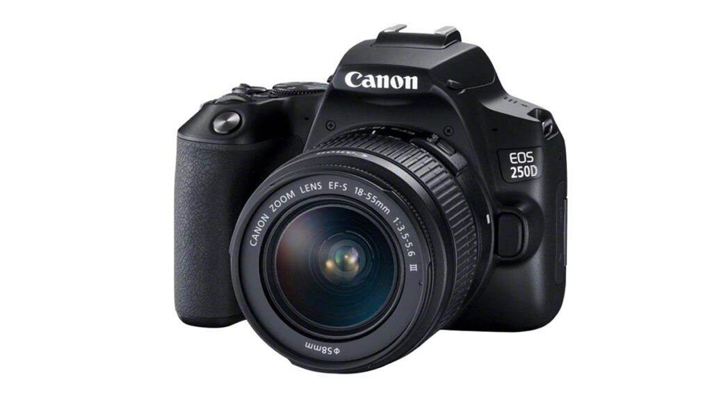 Canon Camera for Photography Beginners