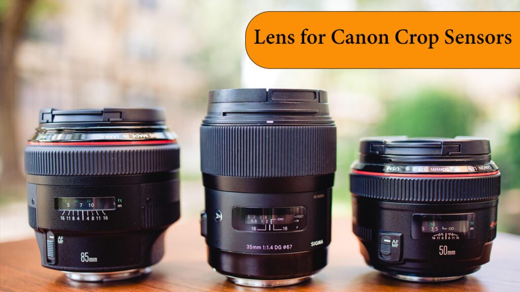 Lens for Canon Crop Sensors