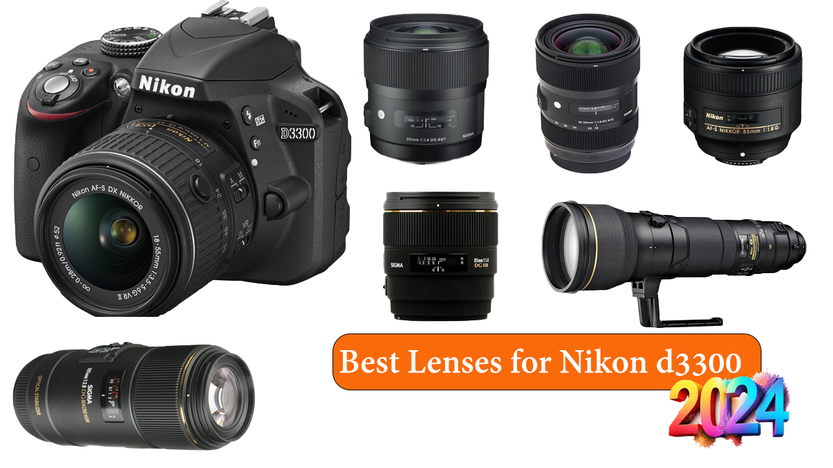 Best Lenses for Nikon d3300 on the Market 2024