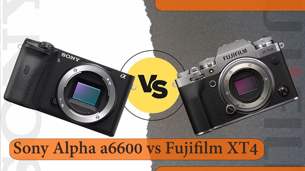 Sony Alpha a6600 vs Fujifilm XT4